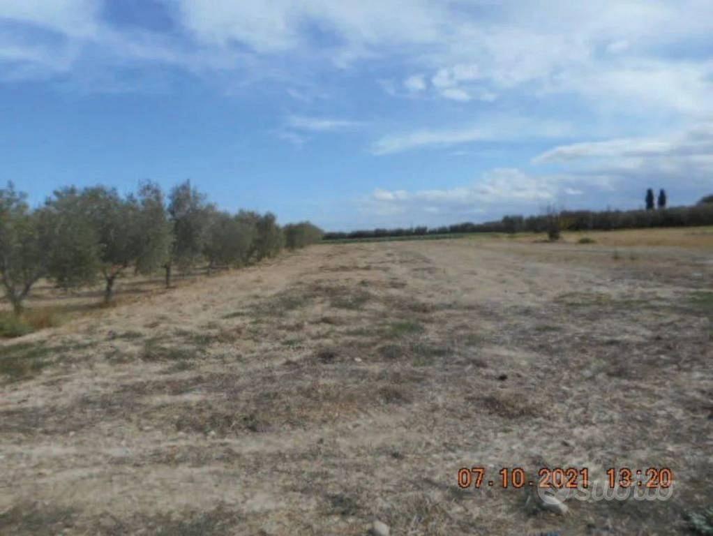 Immobile in asta di 3769 m² a Orta Nova - Vista 2