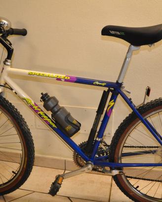 Bicicletta Mountain Bike