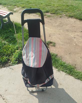 Carrello per la spesa