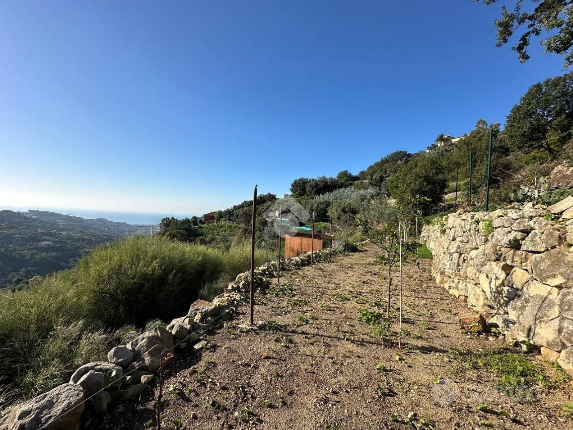 TER. AGRICOLO A VALLEBONA - Vista 5