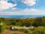 Immagine 22