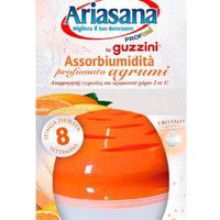 Ariasana Profumo guzzini agrumi assorbiumidità