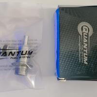 Regolatore pressione benzina 