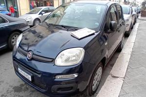 panda