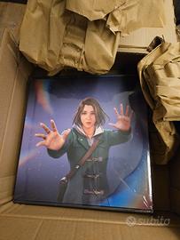 Collector 's Box Life is Strange: Double Exposure