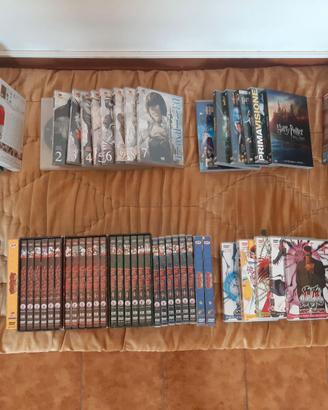 Collezioni Anime.