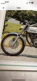 Gilera TG1 forcella anteriore completa