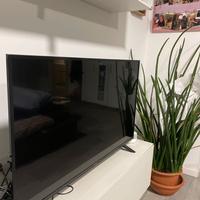 Smart tv hisense 43