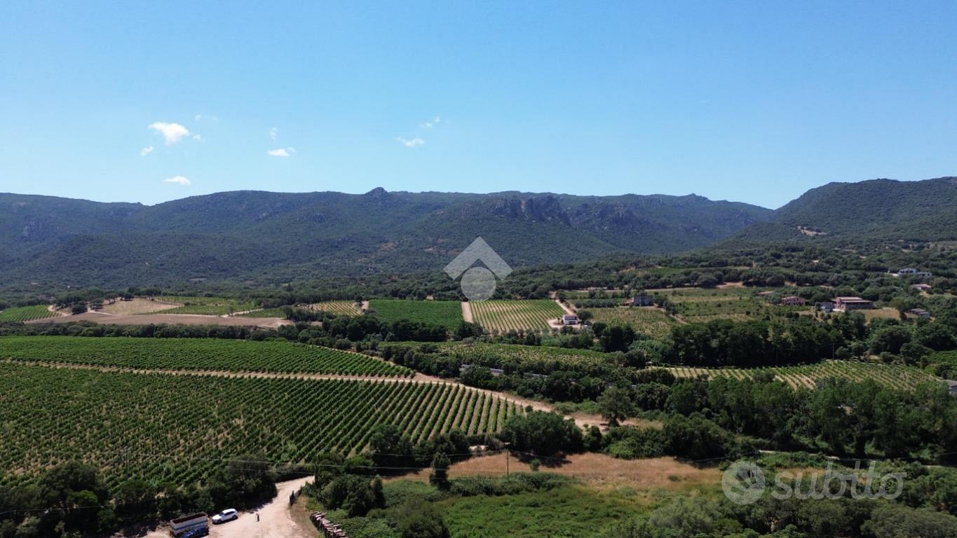 TER. AGRICOLO A MONTI - Altro