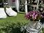 Immagine 6