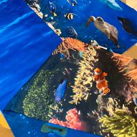 Set lenzuola letto singolo