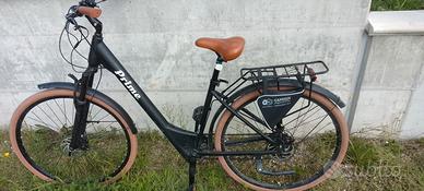 bici elettrica 
