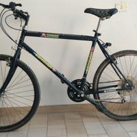 Mountain Bike uomo misura 26"