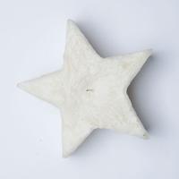 Candela grande a forma di Stella Decorazioni