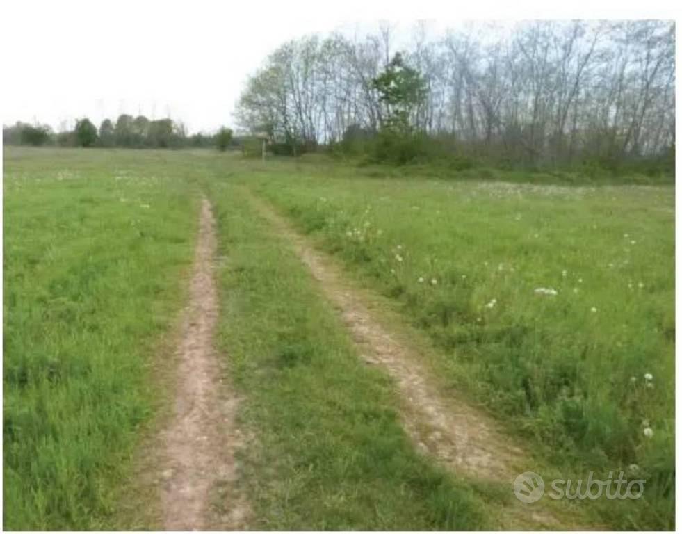 Immobile in asta di 29838 m² a Paese - Vista 5