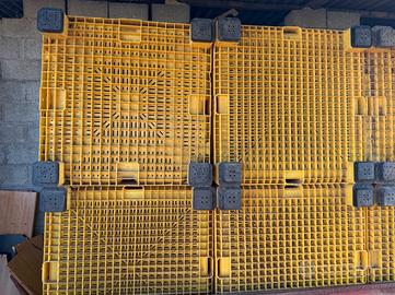 Cassoni per raccolta olive n. 14