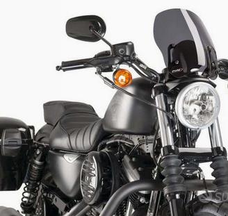 Cupolino Harley Davidson Sportster 1200