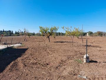 Terreno+fabbricato in Triggiano