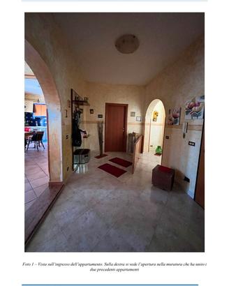 RGE 6/2025 Trib Trapani