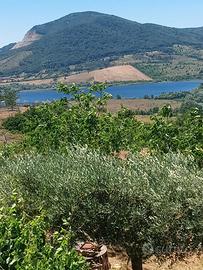 Villetta vista lago