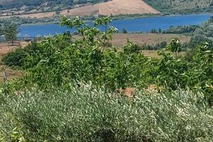 Villetta vista lago