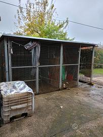 box doppio per cani