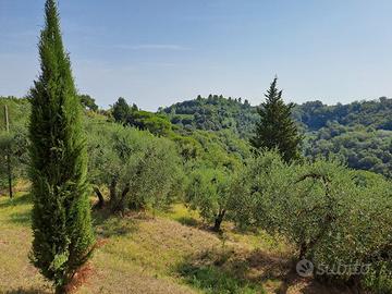 Casale in collina Palaia Pisa