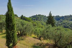 Casale in collina Palaia Pisa