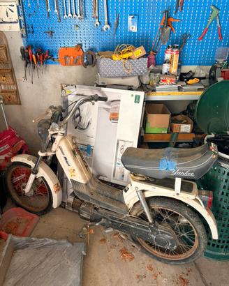 Accesori moto