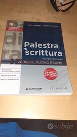 palestra di scrittura