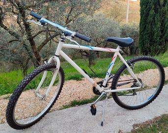 MTB Mountain Bike Arrampichino