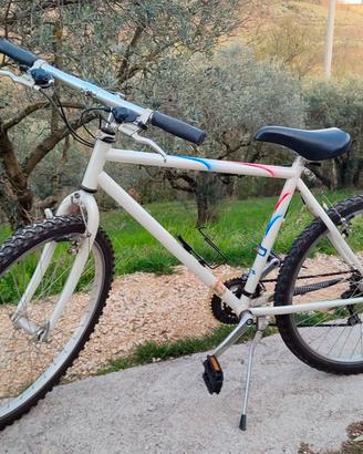 MTB Mountain Bike Arrampichino