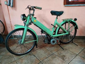 gloria pulcino Raro micromotore 