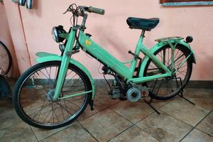 gloria pulcino Raro micromotore 