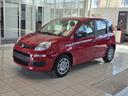 fiat-pandina-1-0-firefly-hybrid-icon-s-s-70cv
