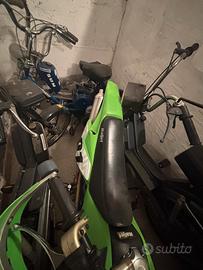 Motorini