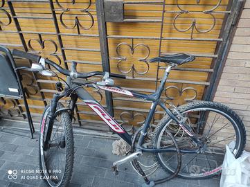 fuji thrill bici