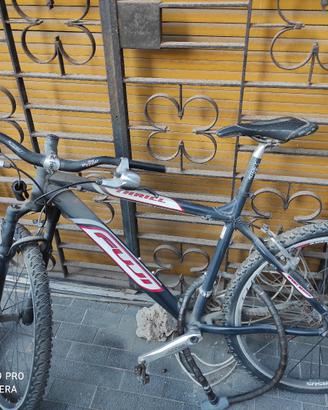 fuji thrill bici