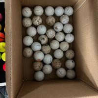 25 Palline da Golf ProV1