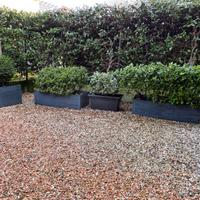 Vasiere in metallo zincato