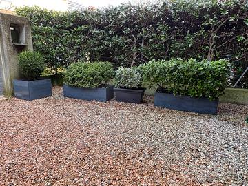 Vasiere in metallo zincato