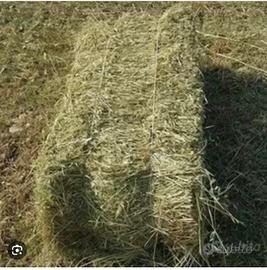 Fieno in Ballette e Balloni