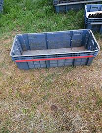 Cassetta per trasporto piante e fiori