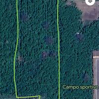 Terreno 1ªclasse noccioleto casarurale accatastat