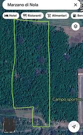 Terreno 1ªclasse noccioleto casarurale accatastat