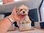 Immagine 27