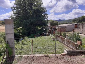 Terreno con ampio locale