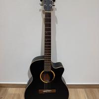 Visions in Guitars ROSE R-20 CE