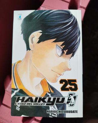 Manga Haikyuu volume 25 e 26