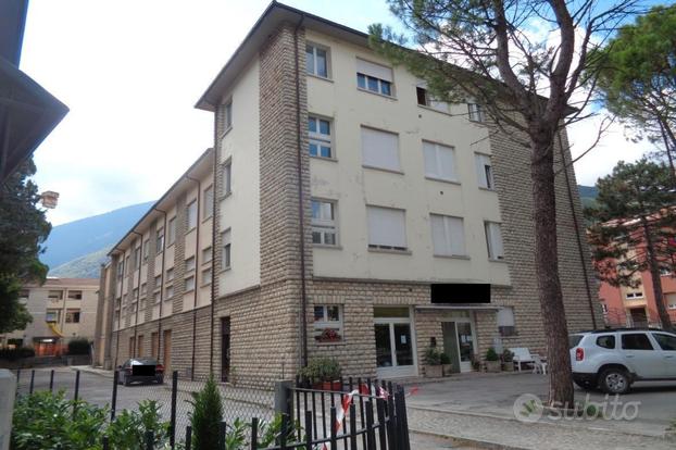 RGE 11/2023 - Tribunale di Urbino